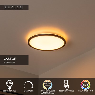 Lucide CASTOR - Plafonnier - Ø 32 cm - LED Dim. - CCT - 1x20W 2700K/6500K - Rvb - Opalin